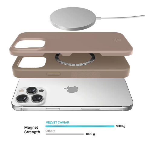 Cashmere Taupe iPhone Case