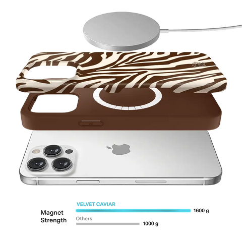 Coco Zebra iPhone Case