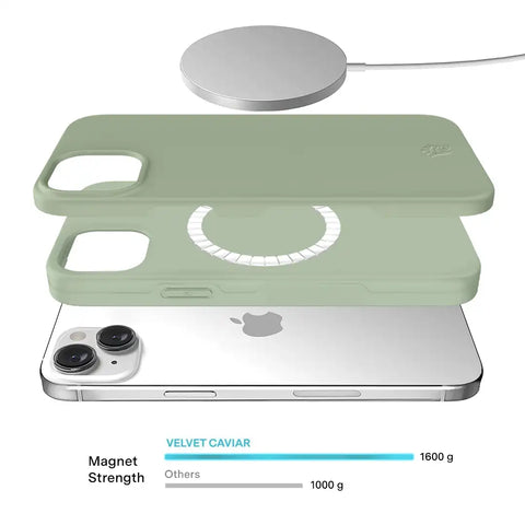 Smoky Sage iPhone Case