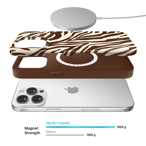 Coco Zebra iPhone Case
