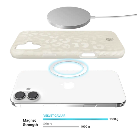 Stone Leopard iPhone Case