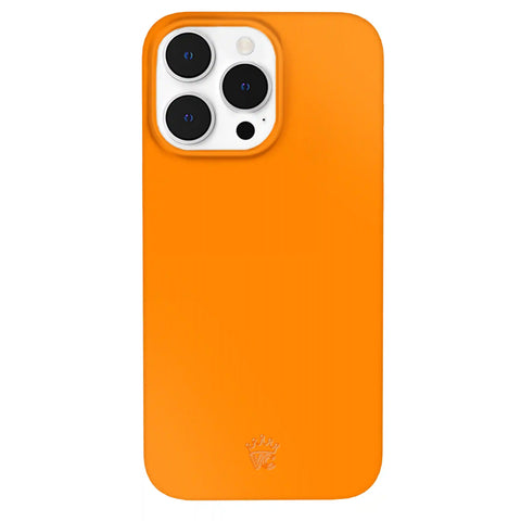 Pumpkin Spice Orange iPhone Case
