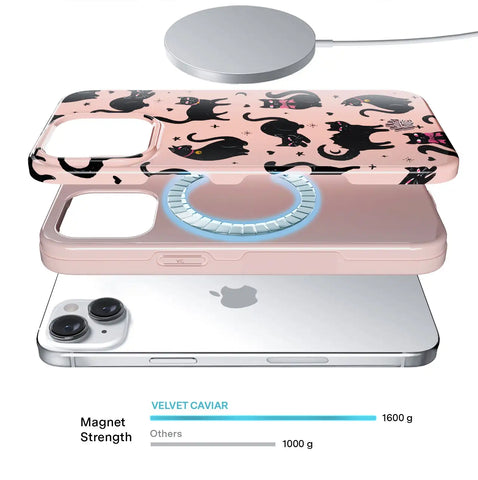 Lucky Kittens iPhone Case